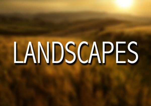 02 Landscapes